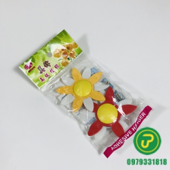 DÁN CÚC LỚN