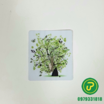 DÁN TƯỜNG 3D