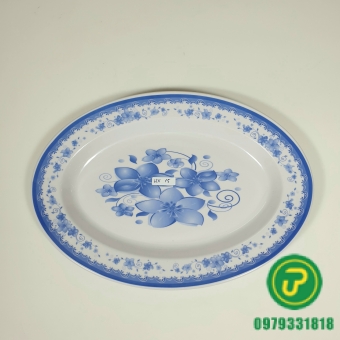 ĐĨA HỘT XOÀI 15