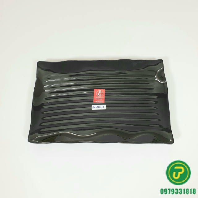 ĐĨA CHỮ NHẬT 12 (PV047-10)